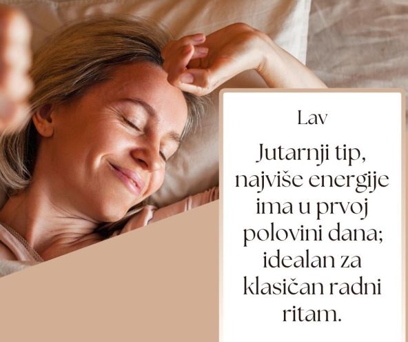 Lav.jpg