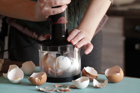 kalcijum ljuska jajeta.jpg