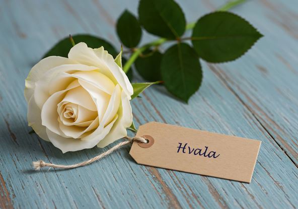 Hvalafoto_foto Press Teleflora.jpg