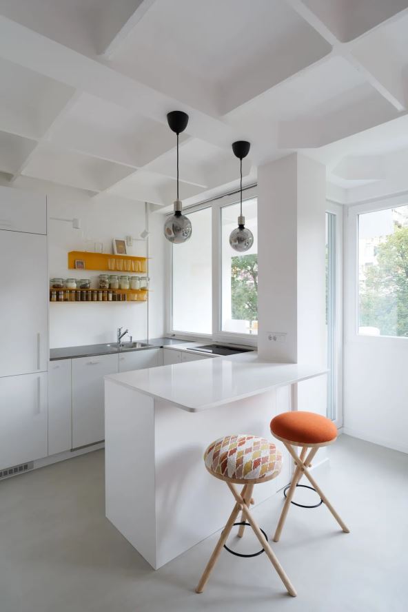 Mali stan u Novom Sadu Parazit Habitat