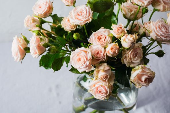 Ruže u vazi