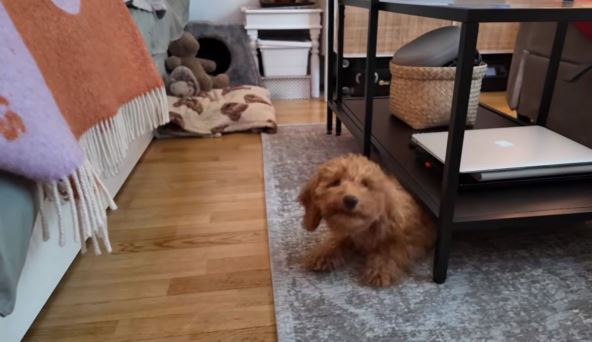 Mali stan od 34 kvadrata 06.jpg