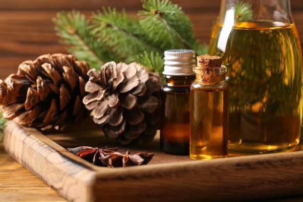 Šišarke sa eteričnim uljima