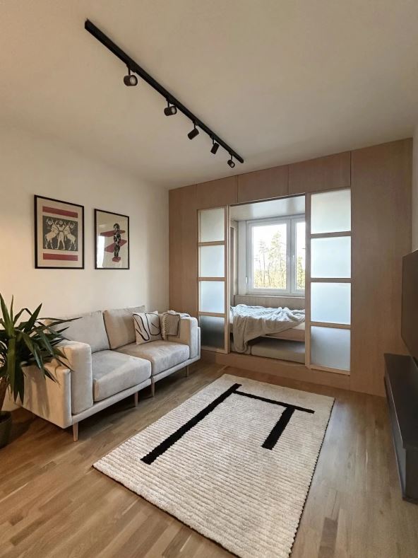 Enterijer stana The third pill