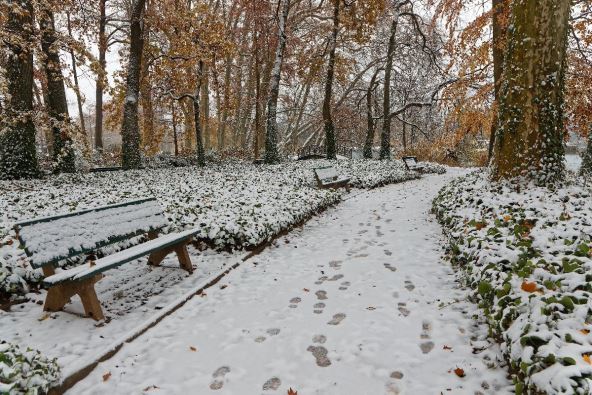sneg u parku.jpg