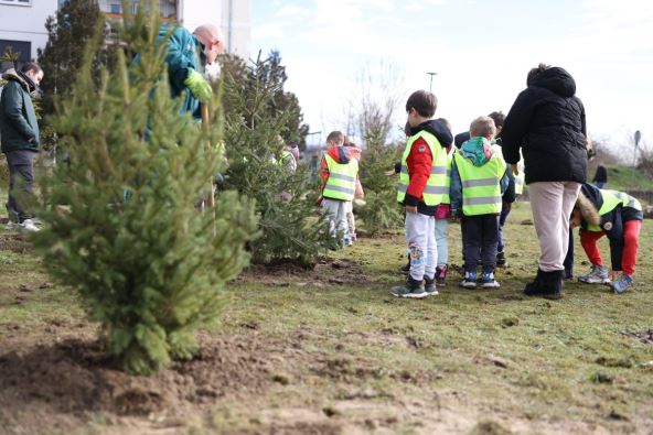 Akcija spasi svoju jelku