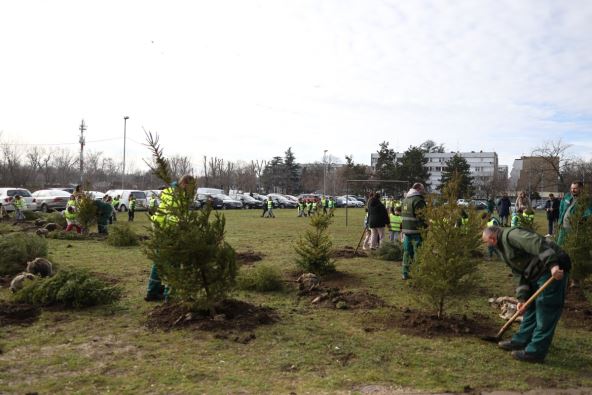 Akcija spasi svoju jelku