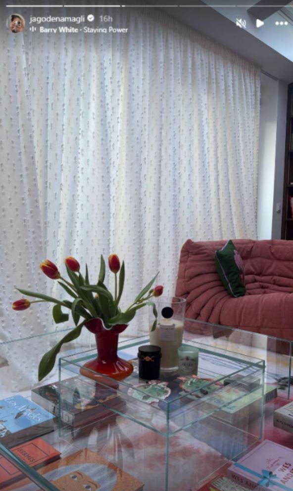 stan Jelisavete Orašanin