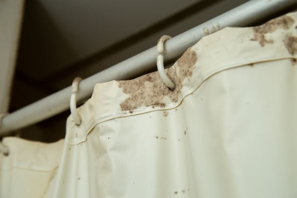 Buđ na zavesi tuš kabine