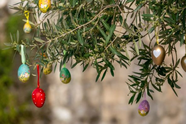 Uskršnja jaja na grani masline