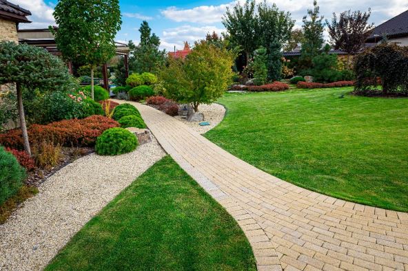 travnjak i staze u dvorištu