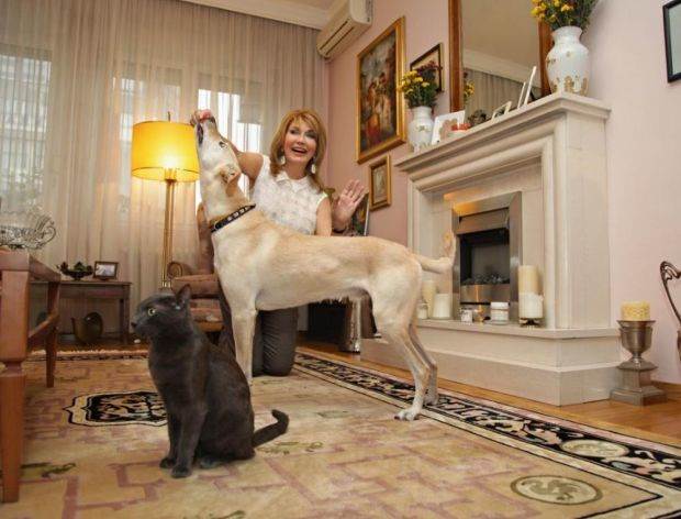 Stan Suzane Mančić u Beogradu pun stilskog nameštaja