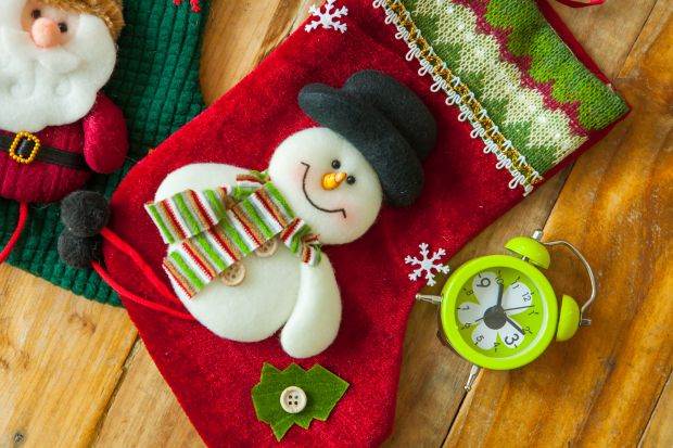 Novogodišnja jelka Mišel Fajfer bez ukrasa