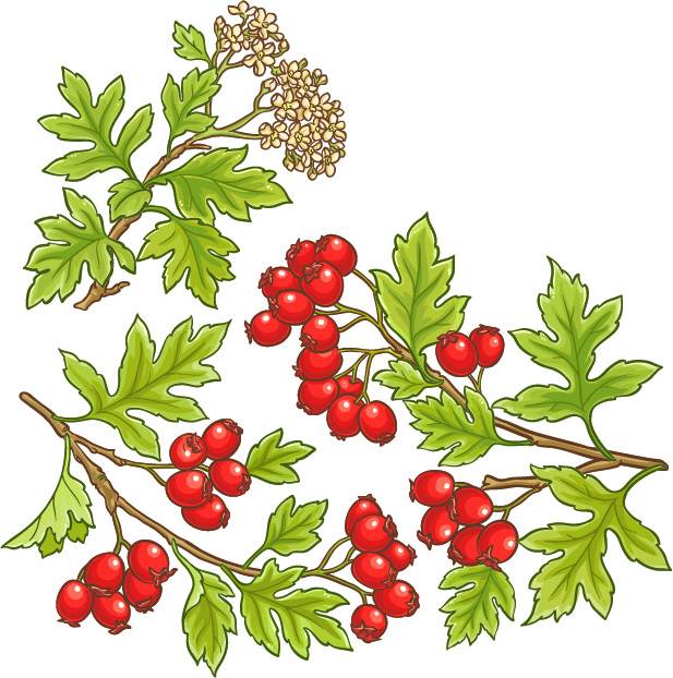 Simptomi propadanja karličnog dna