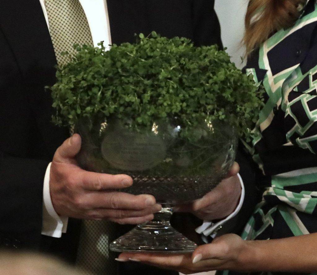 Melanija Tramp u memoarima otkrila sve o kraljevskoj porodici i Megan i Hariju