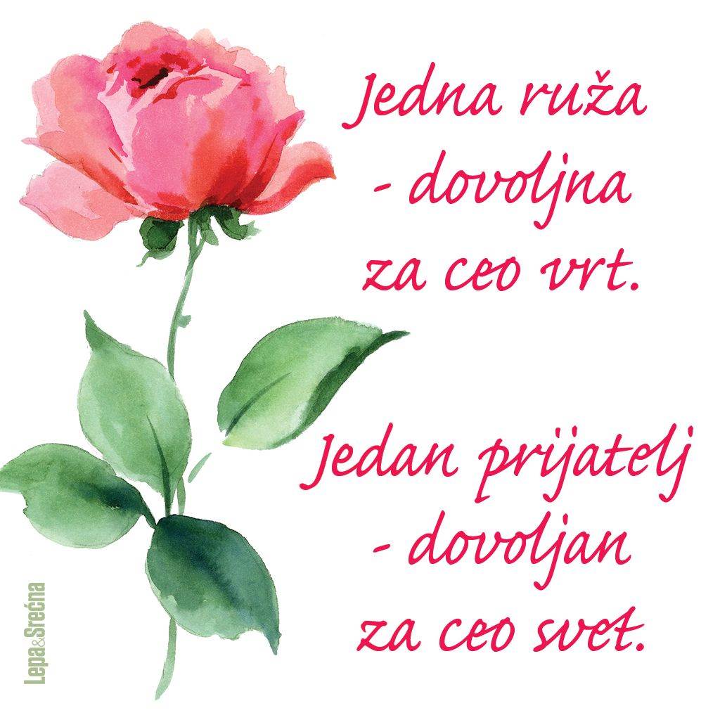 Vladeta Jerotić o braku i platonskoj ljubavi