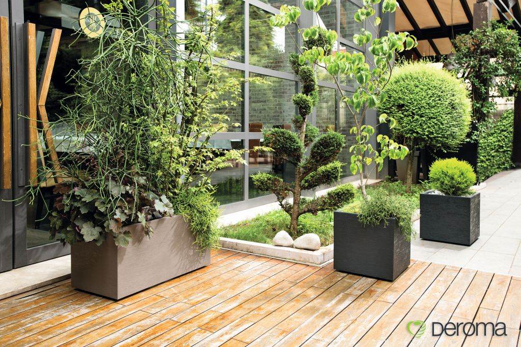 ZELENA PRAVILA: izbor biljaka i saksija za enterijer i eksterijer treba stručno planirati