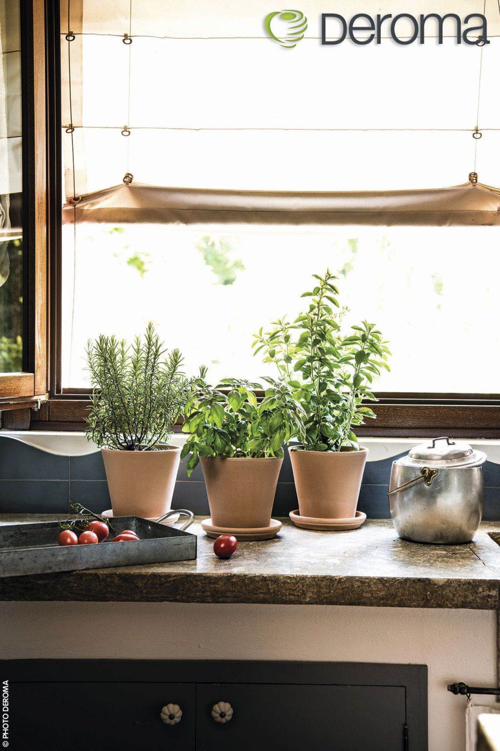 ZELENA PRAVILA: izbor biljaka i saksija za enterijer i eksterijer treba stručno planirati