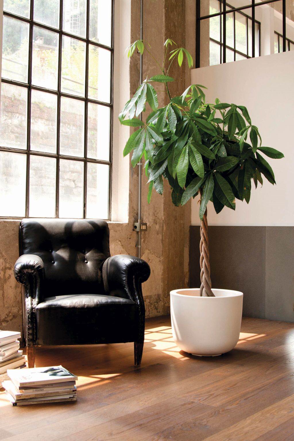 ZELENA PRAVILA: izbor biljaka i saksija za enterijer i eksterijer treba stručno planirati