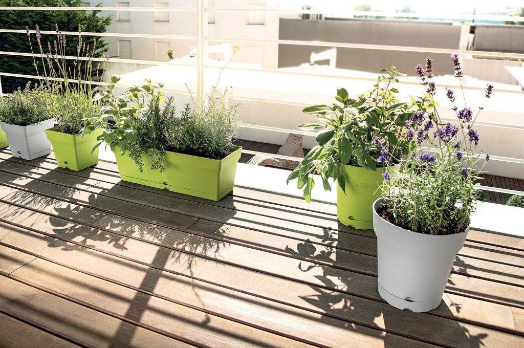 ZELENA PRAVILA: izbor biljaka i saksija za enterijer i eksterijer treba stručno planirati