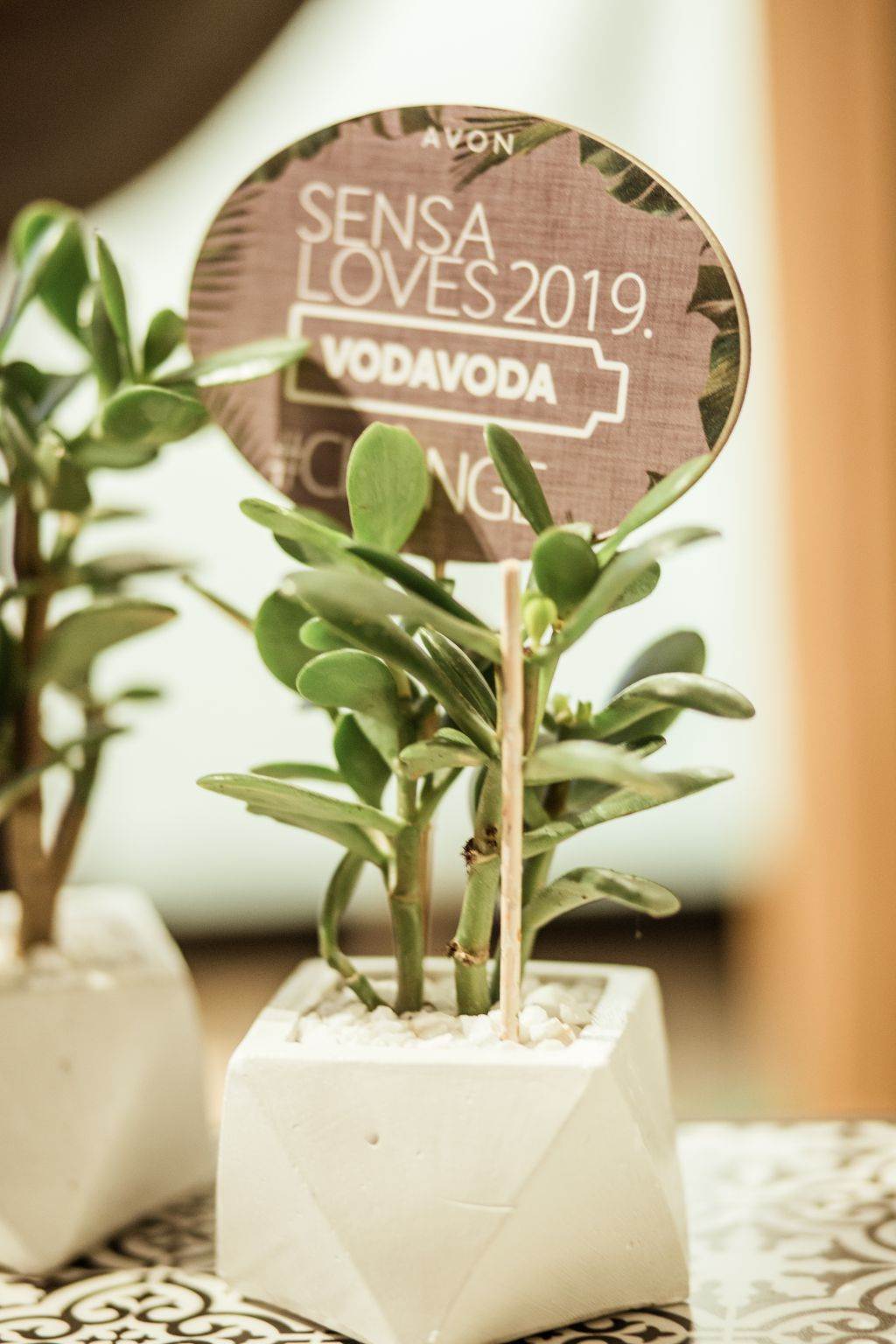 SENSALOVES2019: prepoznavanje pravih vrednosti