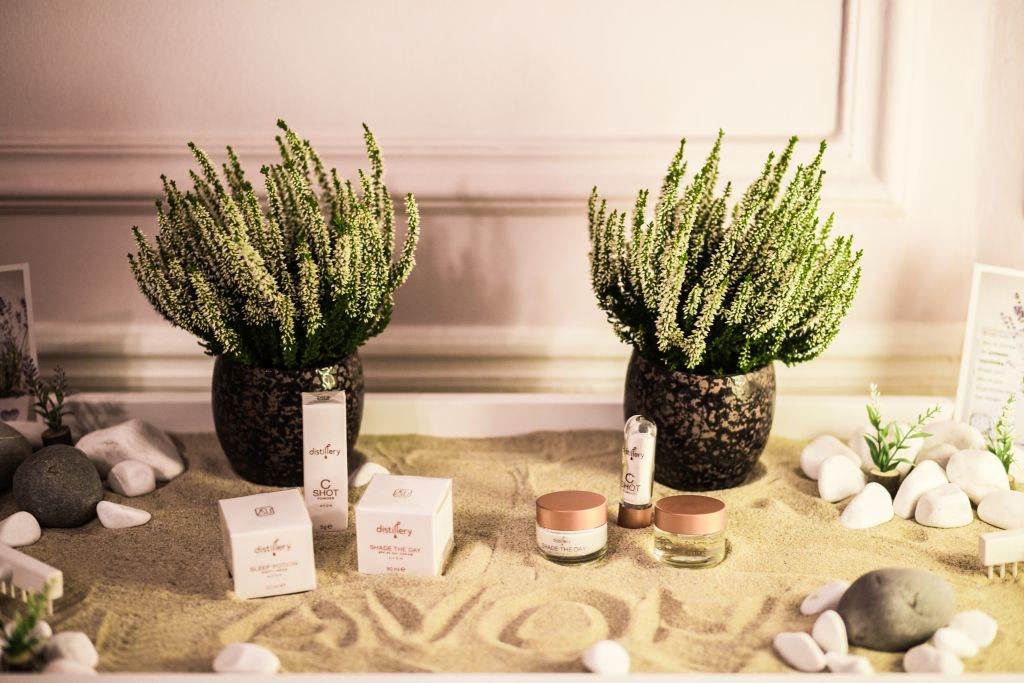 SENSALOVES2019: prepoznavanje pravih vrednosti