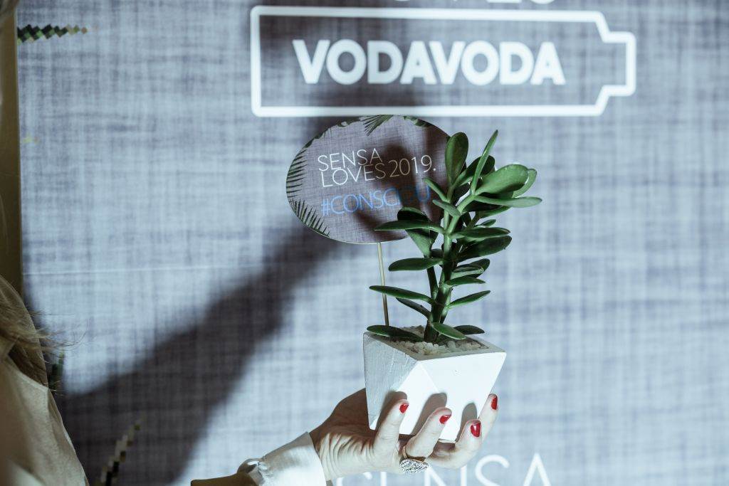 SENSALOVES2019: prepoznavanje pravih vrednosti