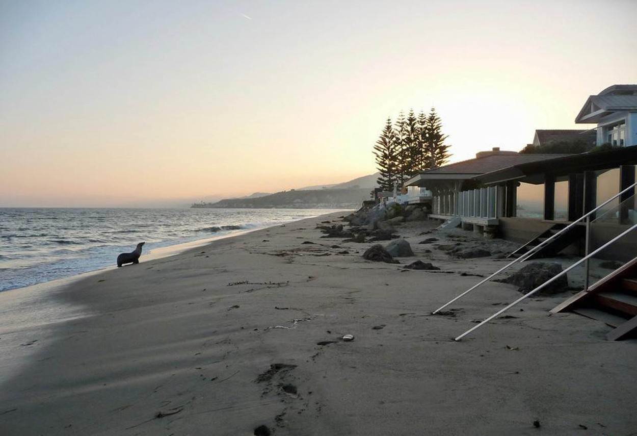 SAVRŠENA KUĆA SA MALO NAMEŠTAJA: glumac Džejson Stejtam i manekenka Rouzi Hantington-Vajtli prodaju modernu vilu za 20 miliona dolara (FOTO)