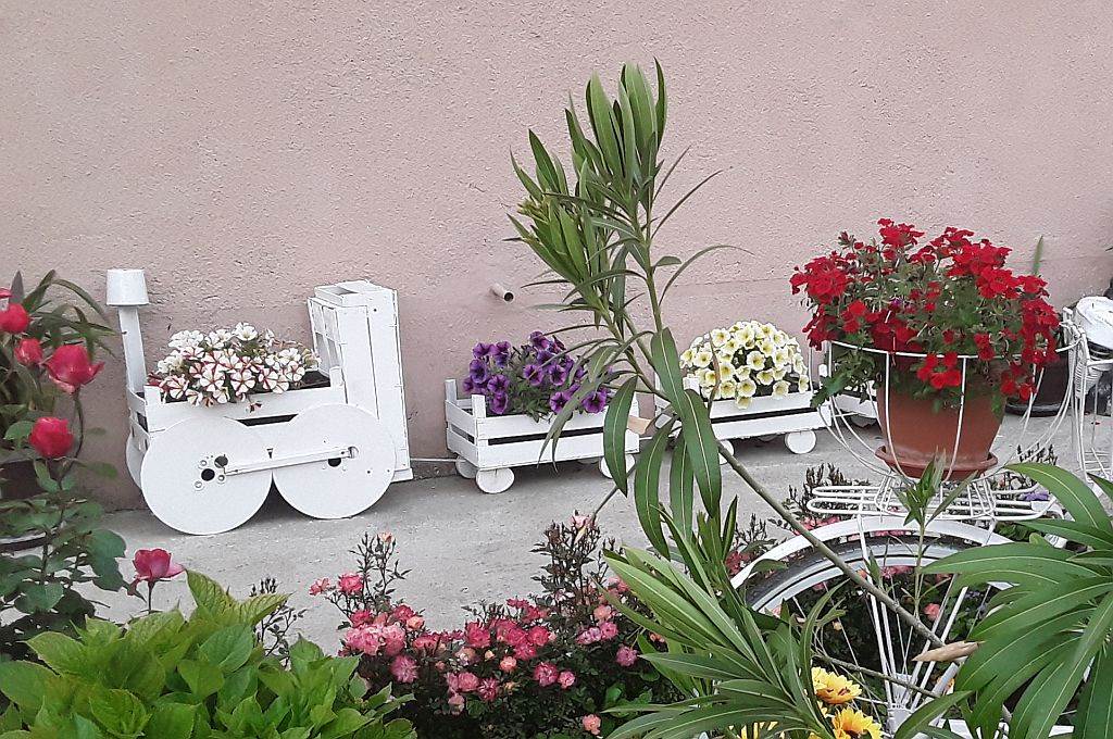 NAJSLAĐE DVORIŠTE U VRANJU: prelep izbor cveća i maštoviti detalji u bašti Lele Nikolić (FOTO)