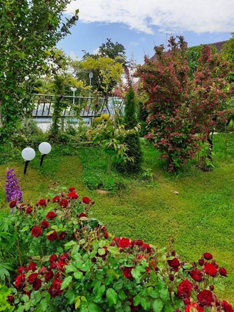 Invazivne biljke koje izbegavaju i iskusni baštovani