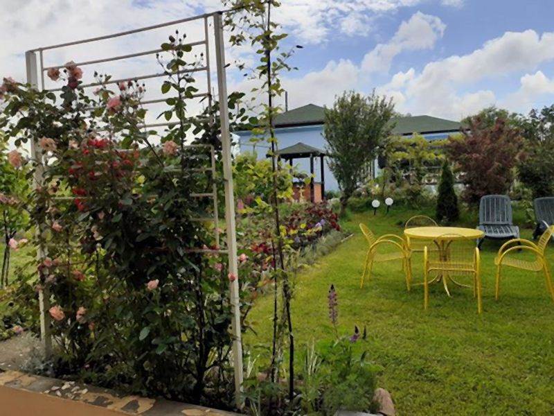 Invazivne biljke koje izbegavaju i iskusni baštovani