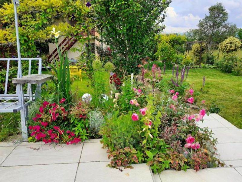 Invazivne biljke koje izbegavaju i iskusni baštovani