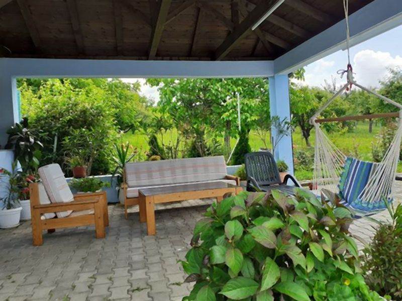 Invazivne biljke koje izbegavaju i iskusni baštovani