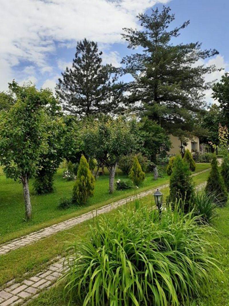 Invazivne biljke koje izbegavaju i iskusni baštovani