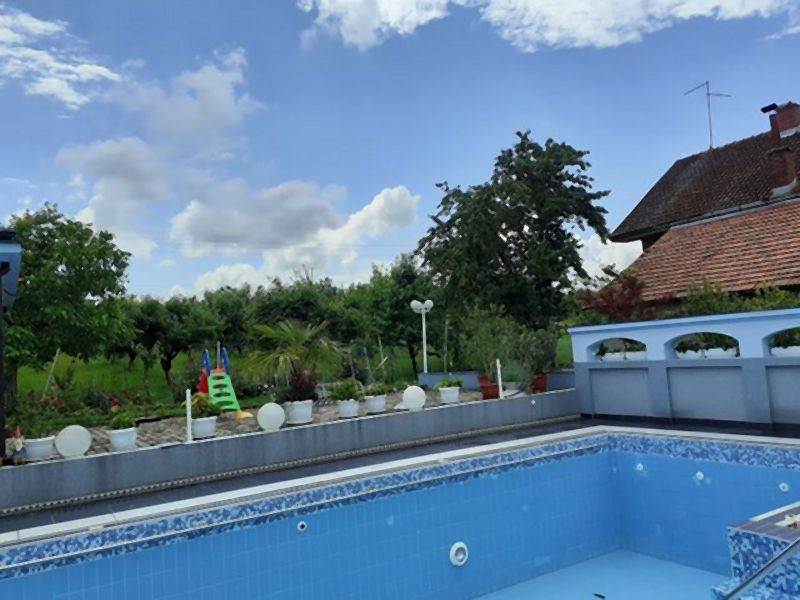 Invazivne biljke koje izbegavaju i iskusni baštovani