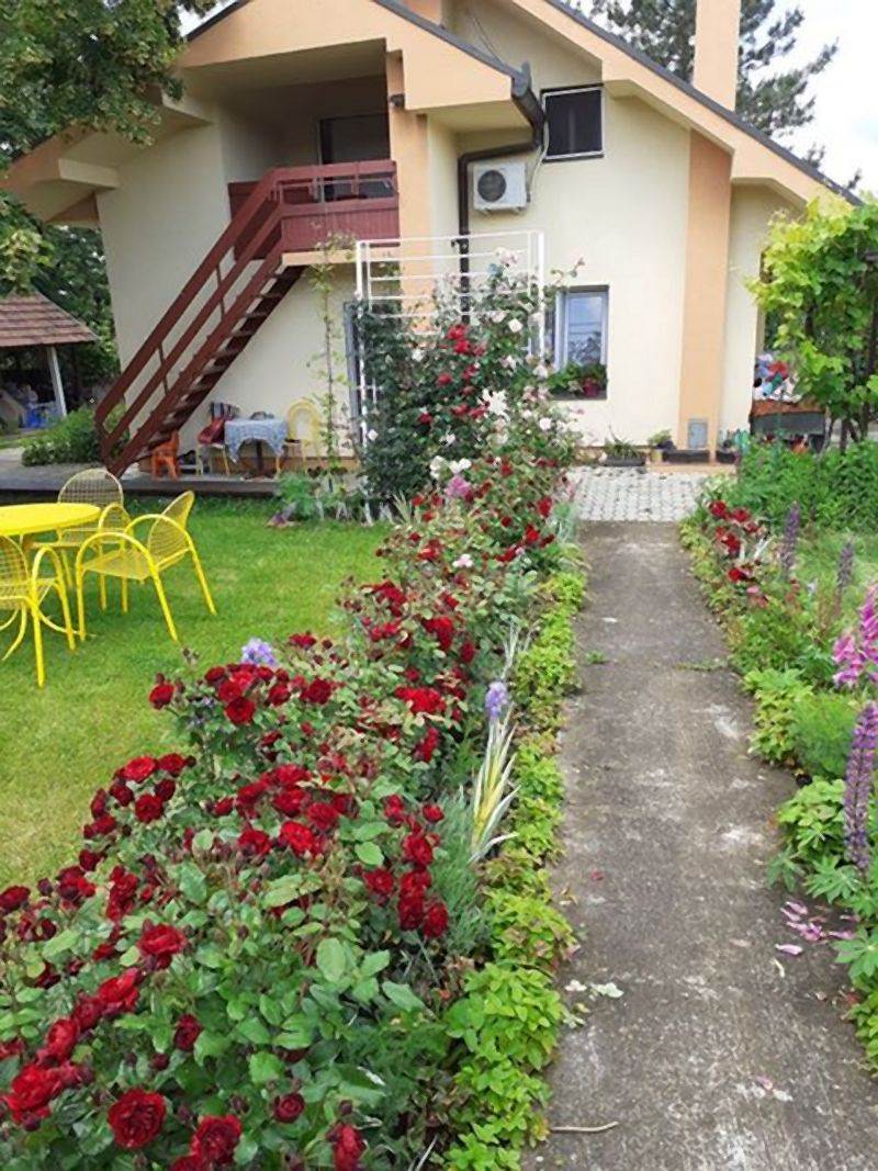 Invazivne biljke koje izbegavaju i iskusni baštovani