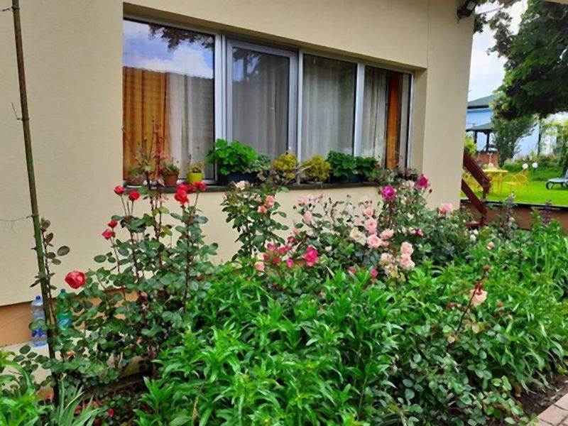 Invazivne biljke koje izbegavaju i iskusni baštovani