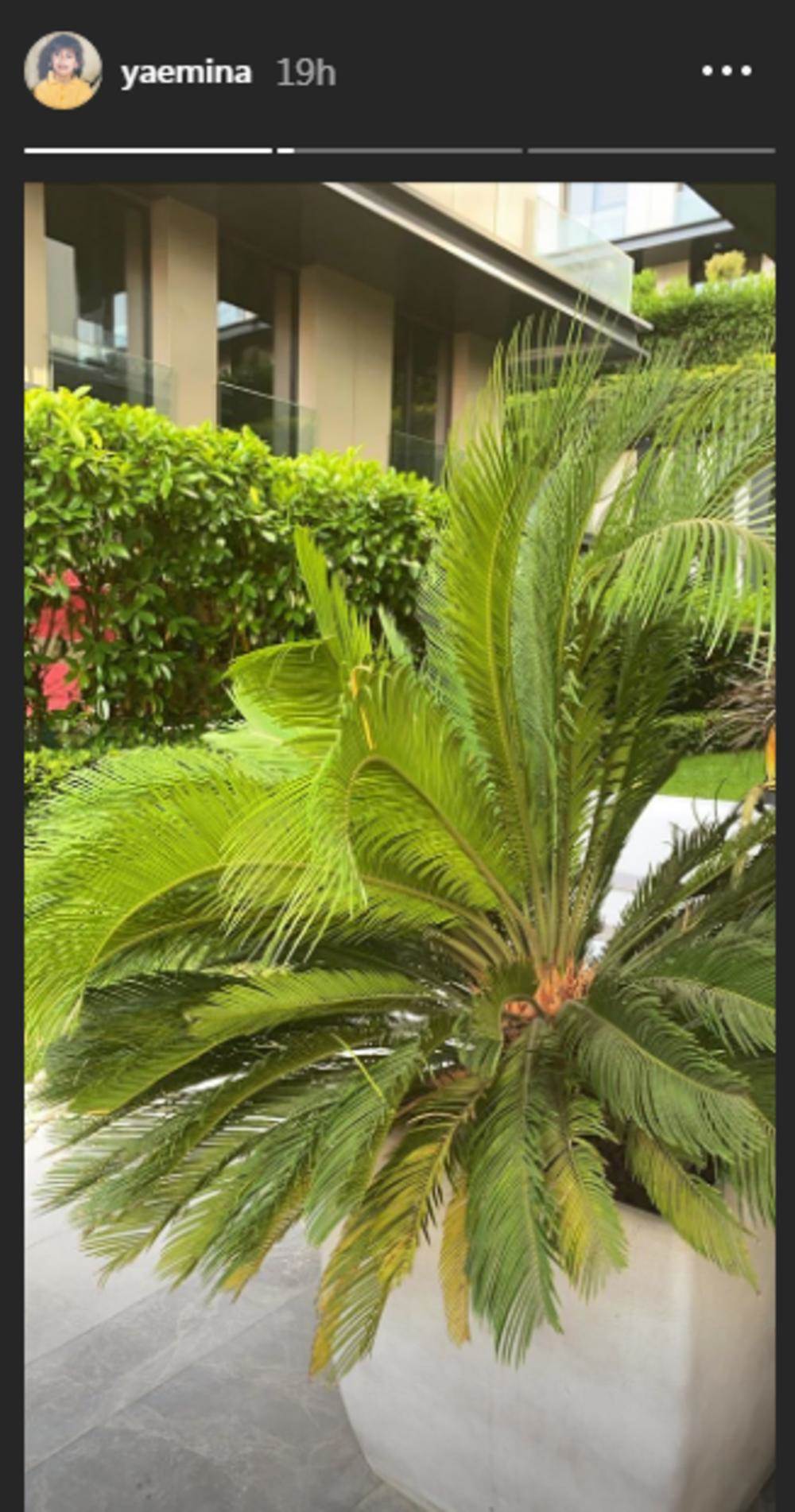 kuca emine jahovic slike vila istanbul 