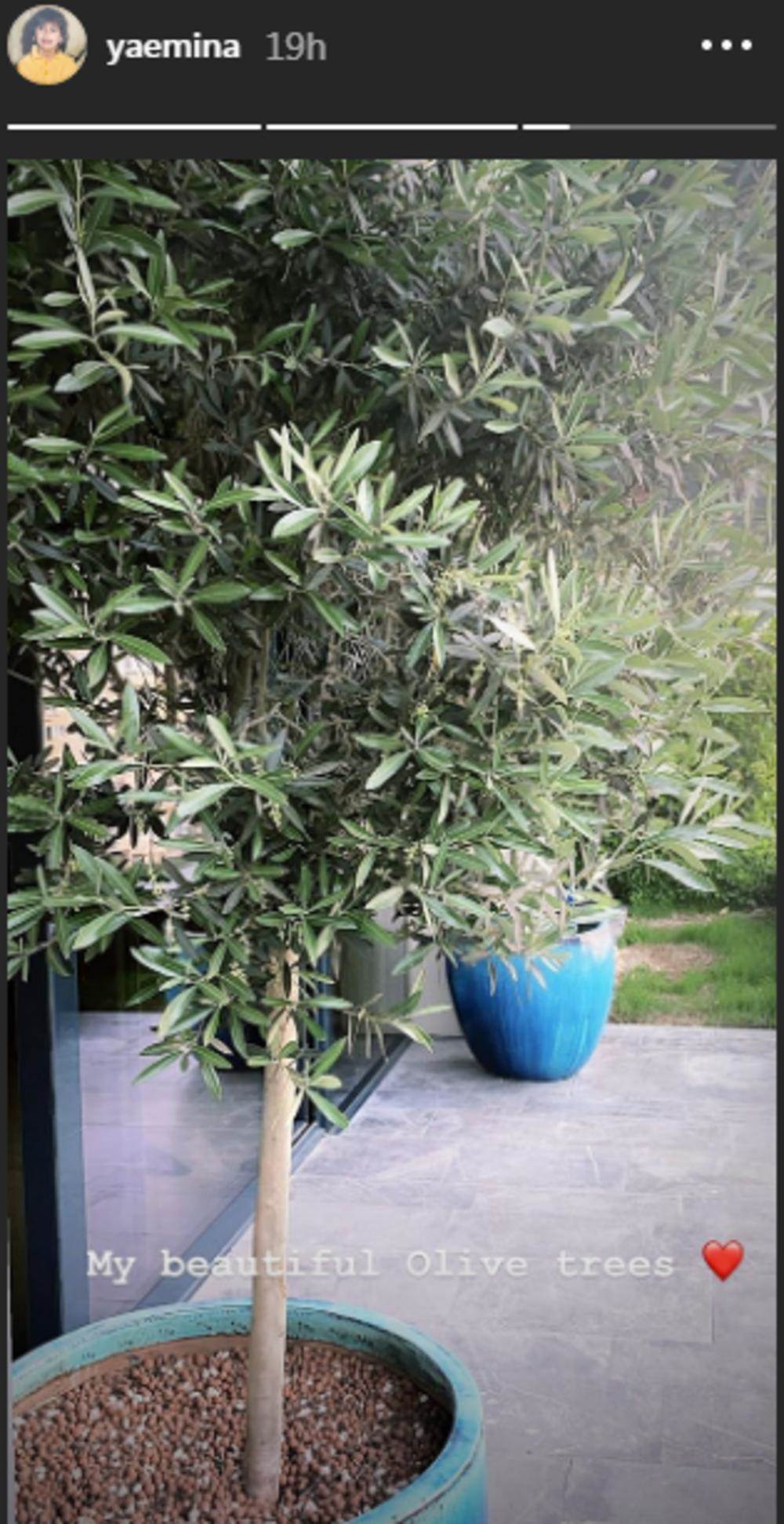 kuca emine jahovic slike vila istanbul 