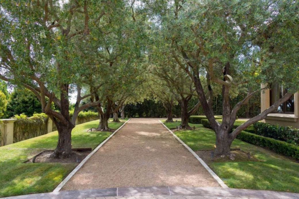 kuca sofije vergare los andjeles