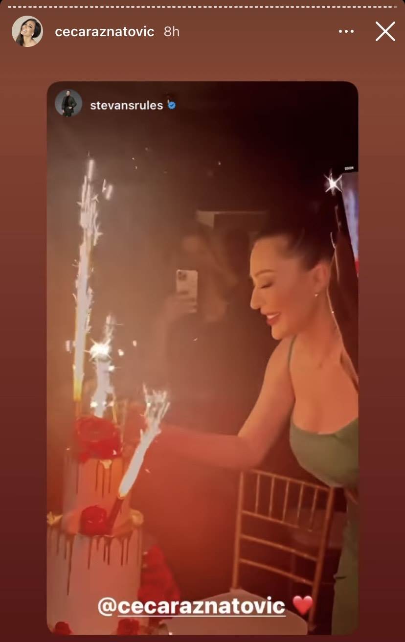 cecin rodjendan ceca raznatovic instagram