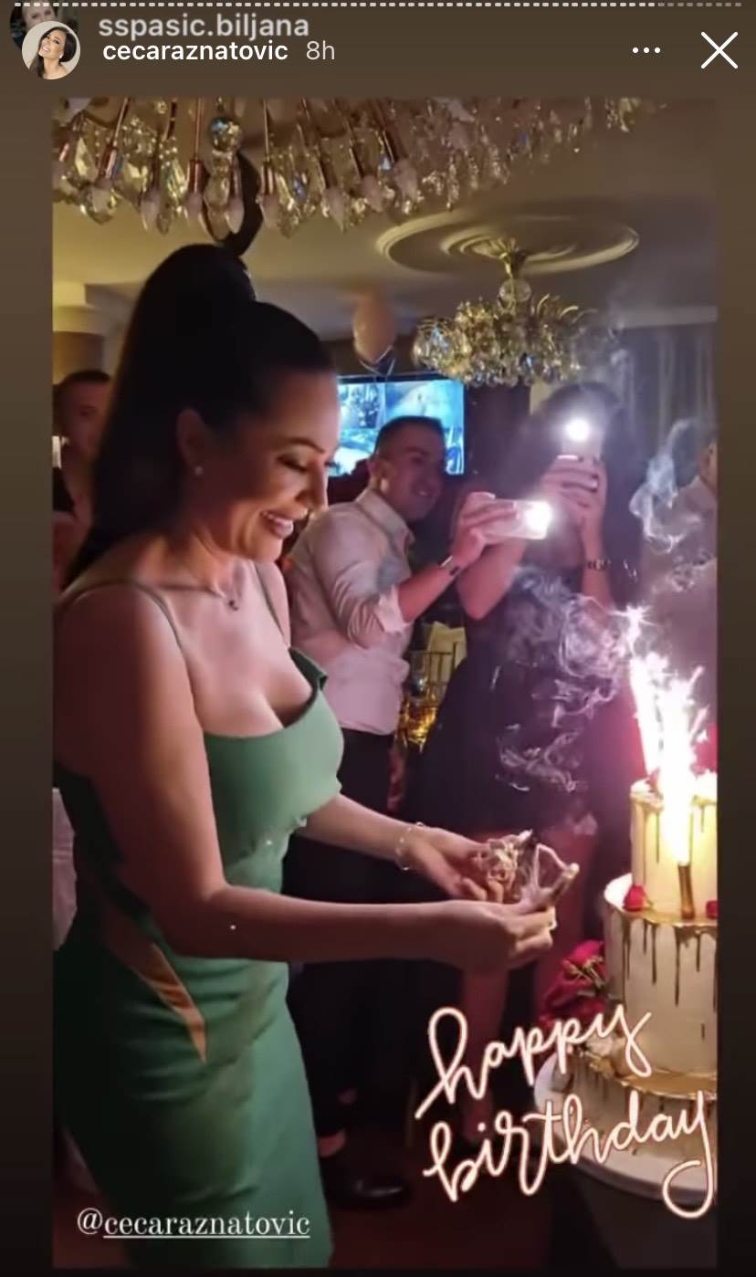 cecin rodjendan ceca raznatovic instagram