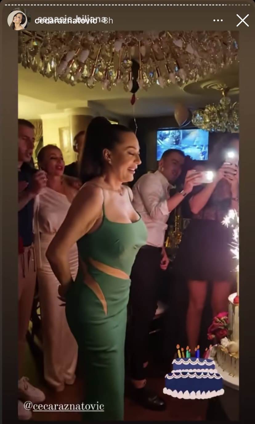 cecin rodjendan ceca raznatovic instagram