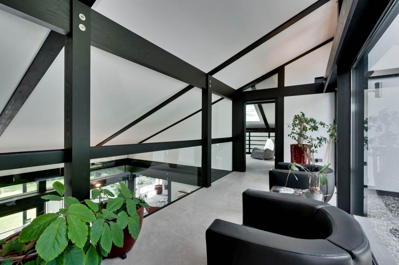 kuca antonija banderasa