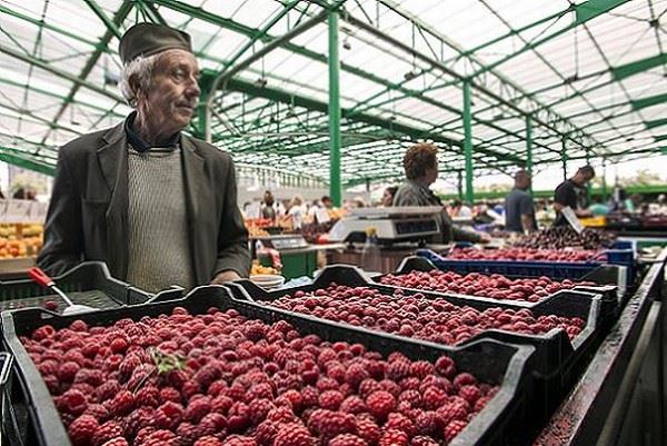 Najlepša fotografija sa pijace – Beograd 2013.