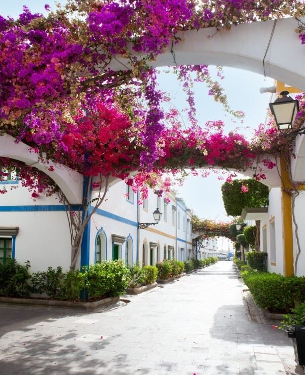 Kanarsko ostrvo zlatnih plaža