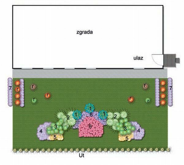 Lavanda i ruža u senci četinara