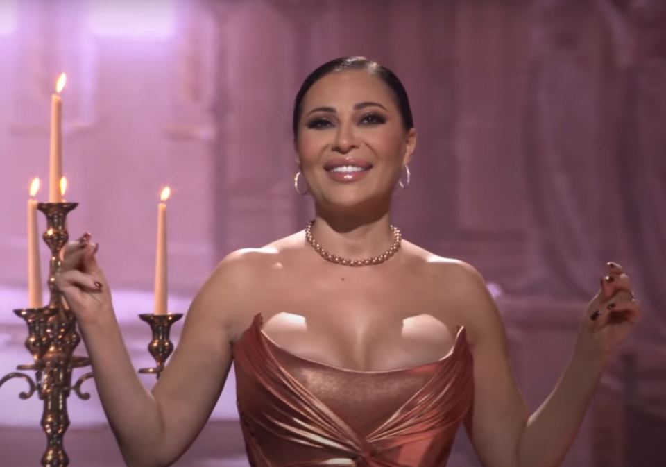 ceca raznatovic