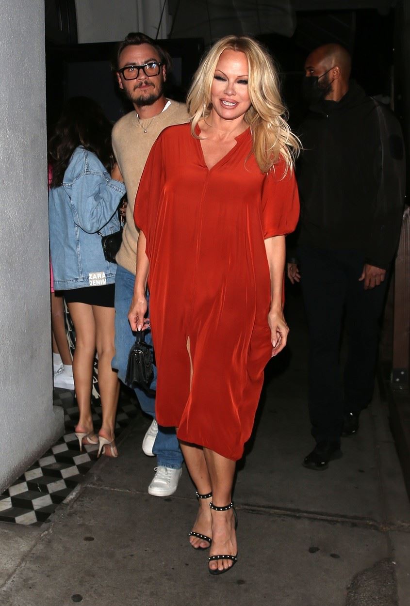 Izgled Pamele Anderson