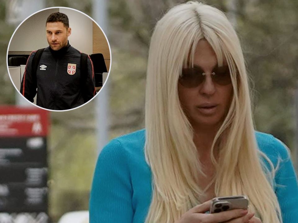 Jelena Karleuša neće krivično goniti Duška Tošića